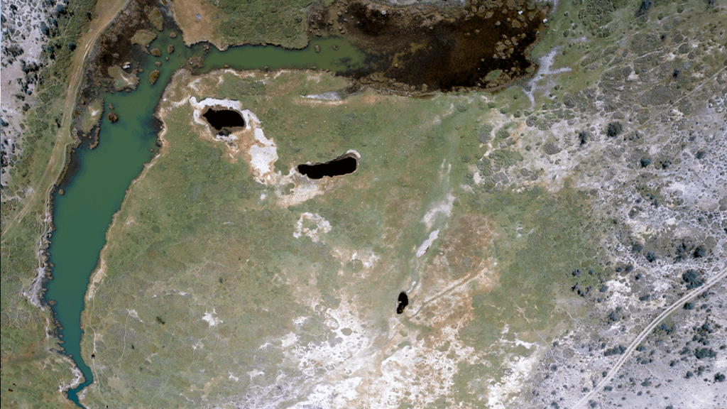 El problema wirikuta34